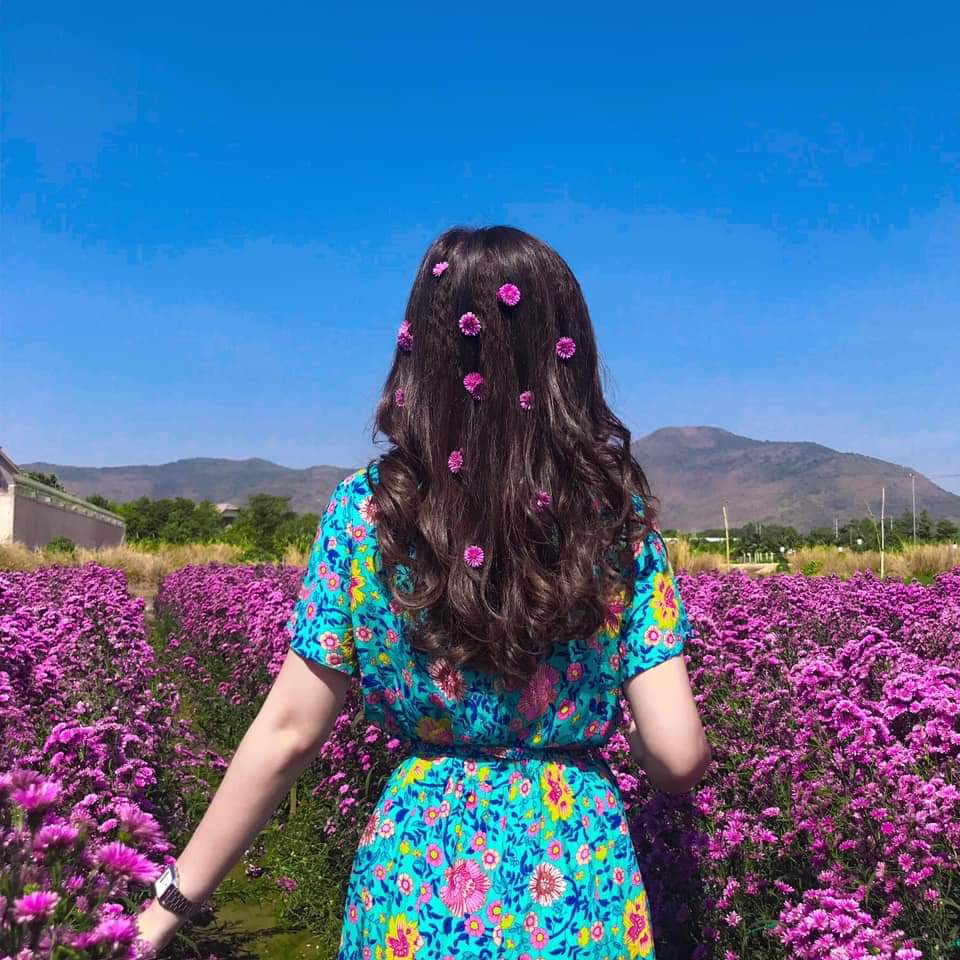 cánh đồng hoa thạch thảo tím ở Vũng Tàu, điểm sống ảo ở Vũng Tàu