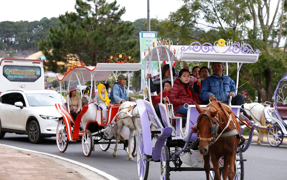 Thuê xe máy Đà Lạt
