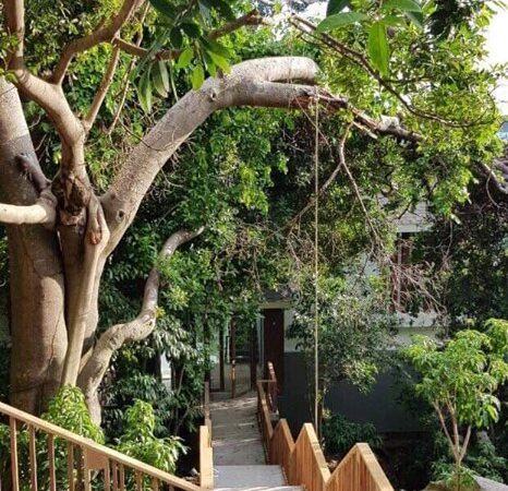 Ảnh chụp villa Villa The Eden Bay Phú Quốc – TICO PQ44 – PV309 số 14