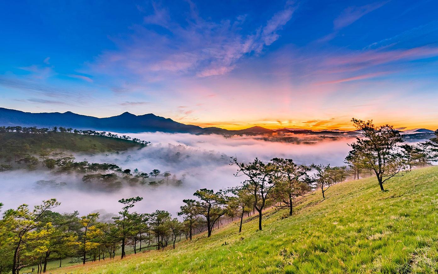 Núi rừng Cao nguyên Lâm Viên mờ sương đẹp tựa chốn thần tiên