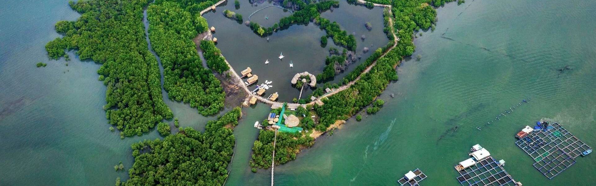 Đảo Gò Găng – Thiên đường sống ảo mới toanh tại Vũng Tàu - Ảnh đại diện