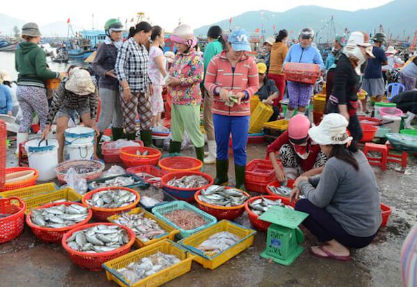 Chợ hải sản Hải Tiến