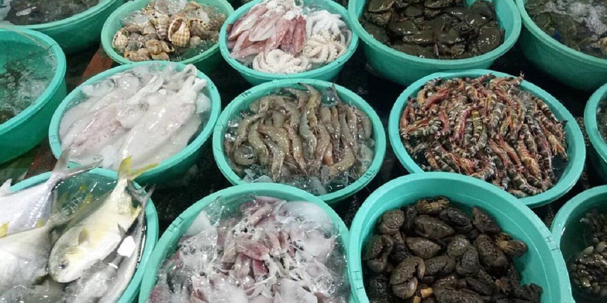 Địa điểm mua hải sản Sầm Sơn ngon-bổ-rẻ và uy tín - Ảnh đại diện