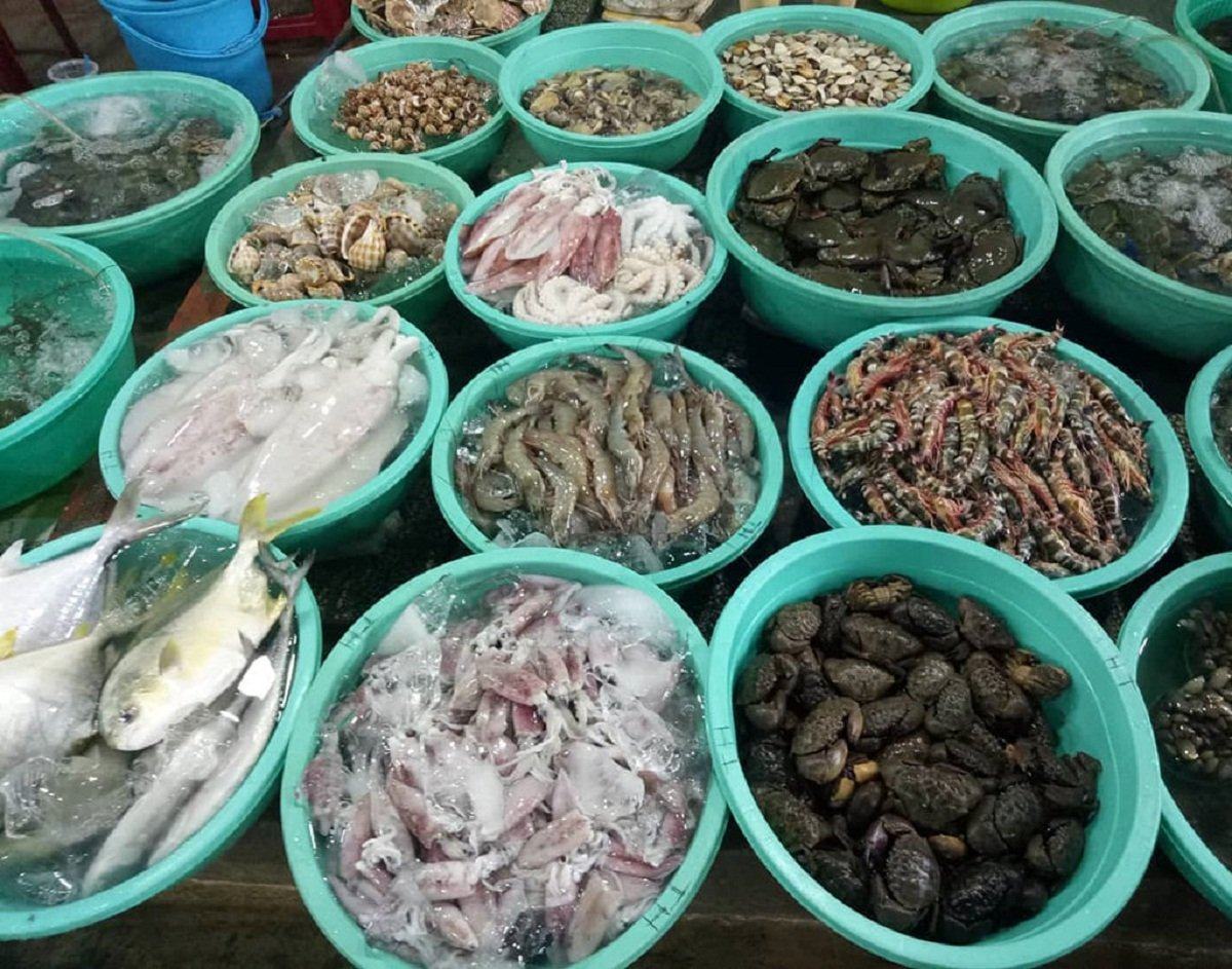 Địa điểm mua hải sản Sầm Sơn ngon-bổ-rẻ và uy tín
