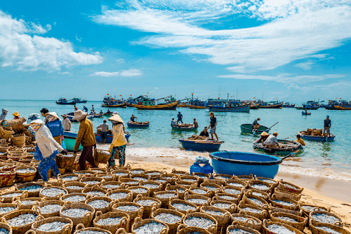Khung cảnh tấp nập tại chợ hải sản Làng chài Mũi Né