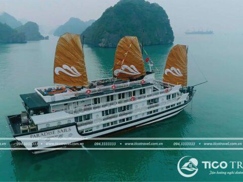 Ảnh đại diện DU THUYỀN HẠ LONG TICO 14 - PARADISE SAIL