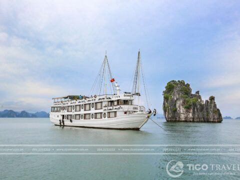 Ảnh đại diện DU THUYỀN LAN HẠ TICO 33 ORIENTAL SAIL