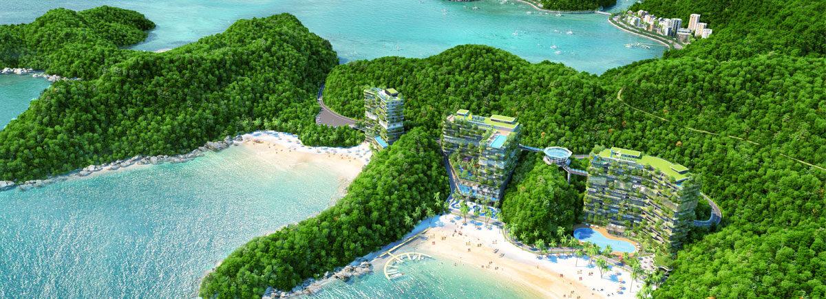 - Ảnh đại diện