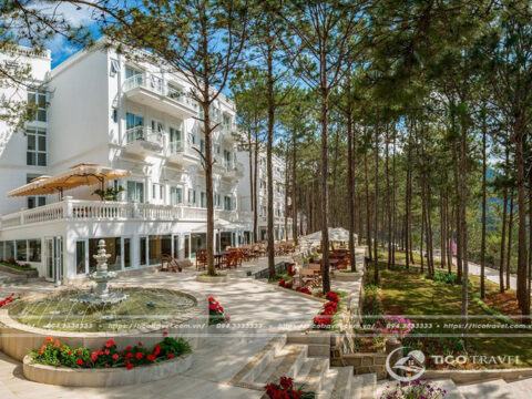 Ảnh đại diện Cereja Hotel & Resort Dalat