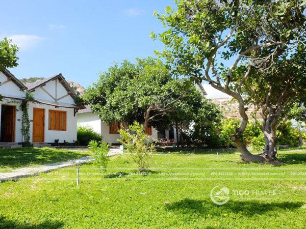 Ảnh chụp villa RESORT BÌNH LẬP TICO 03 DAO HOA VANG số 0