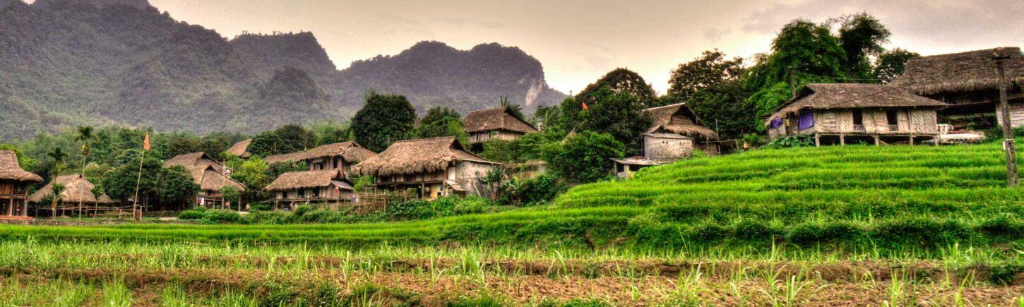 Top 20 Villa Biệt thự Hòa Bình Có Hồ Bơi View Sông Đầy Đủ Tiện Nghi - Ảnh đại diện