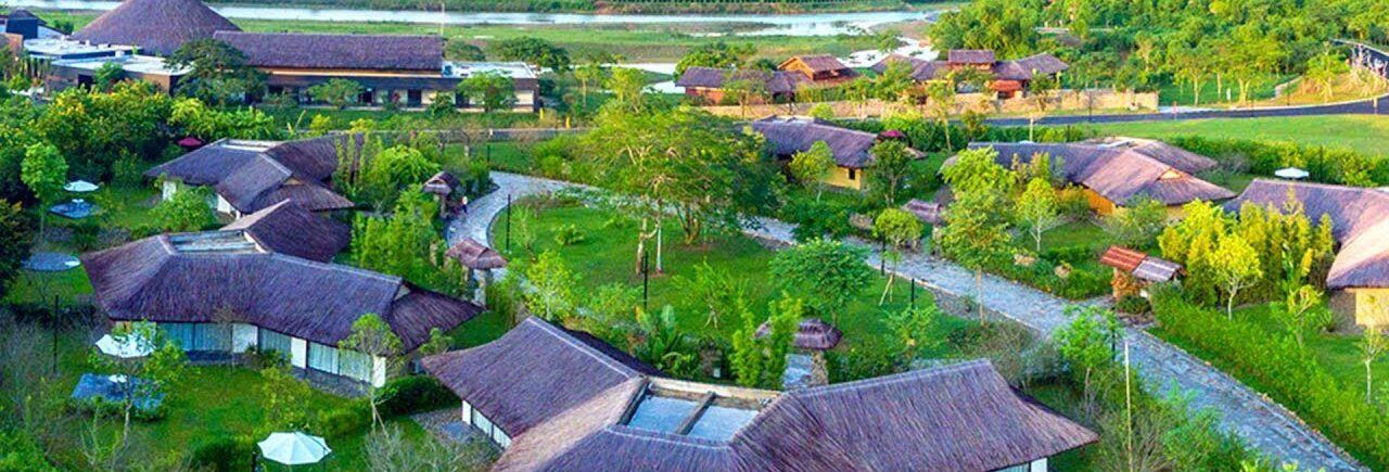 - Ảnh đại diện