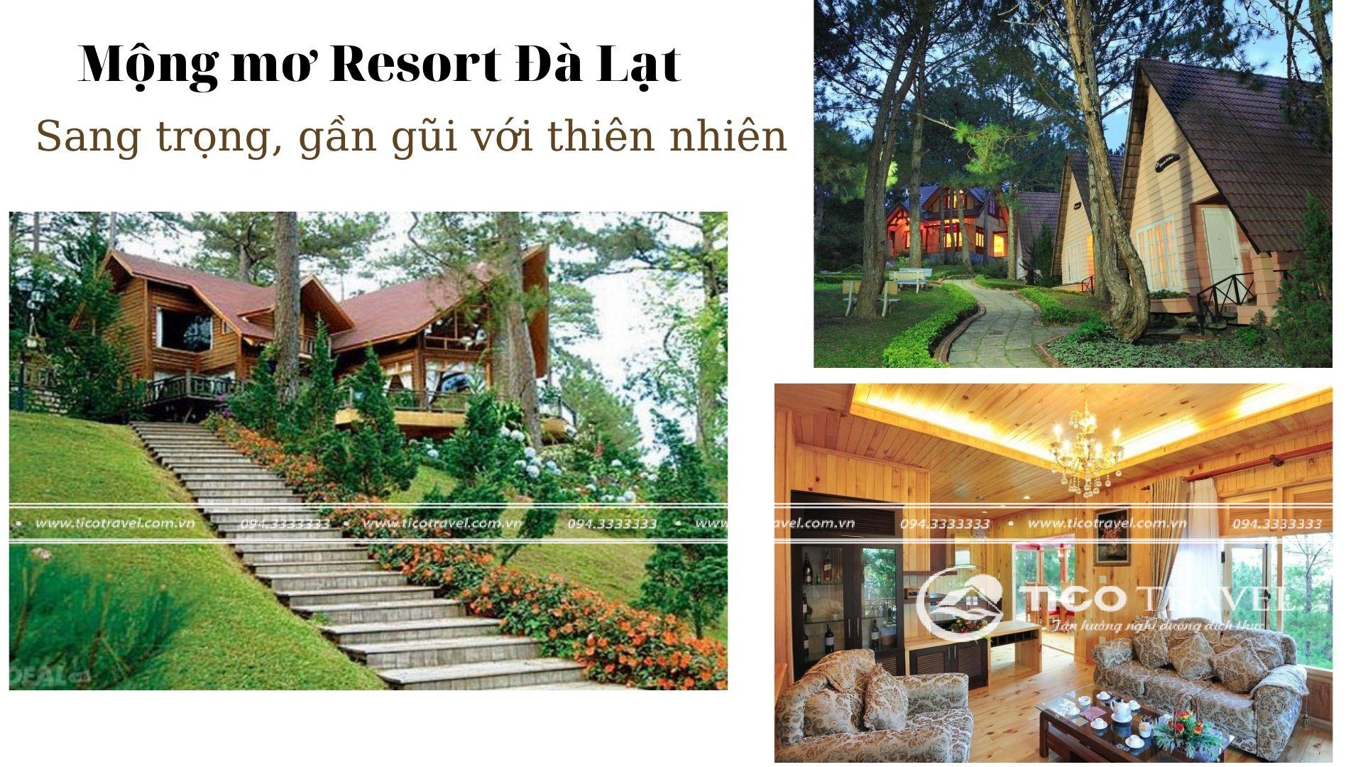 Ảnh chụp toàn cảnh không gian tại Đồi Mộng Mơ resort