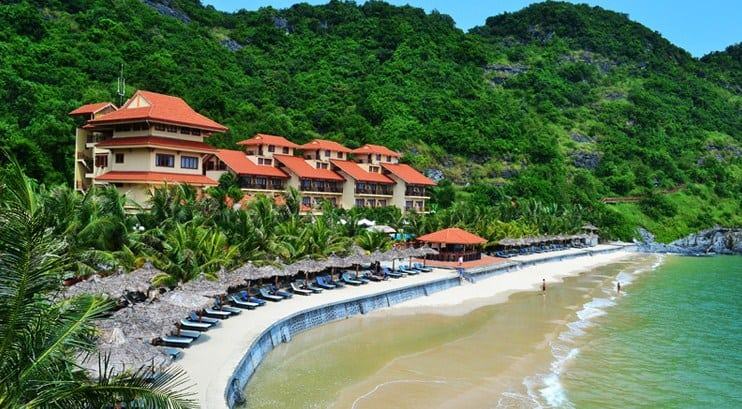 - Ảnh đại diện