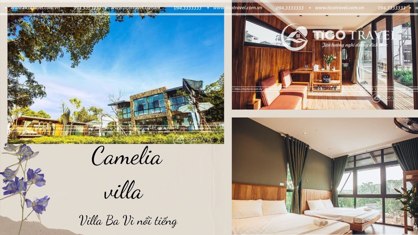 ảnh chụp Camellia villa Ba Vì