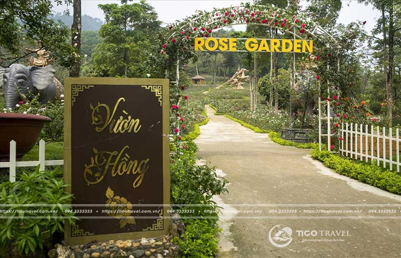 Vườn hồng tình yêu tại Paragon Resort