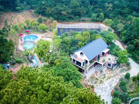 Ảnh đại diện Rừng Thông Xanh Sóc Sơn – Green Pines Resort