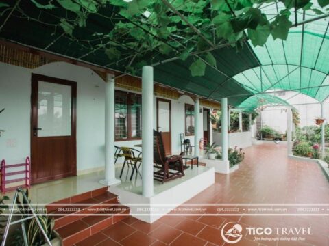 Ảnh đại diện Tre Xanh Homestay