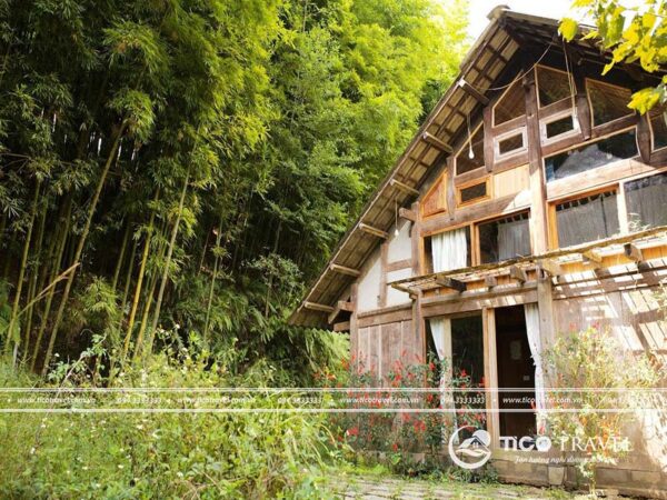 Ảnh chụp villa Pieu House Bamboo Forest số 2