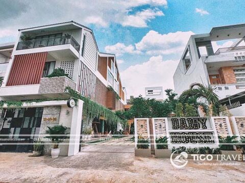 Ảnh đại diện Daisy House Phú Yên