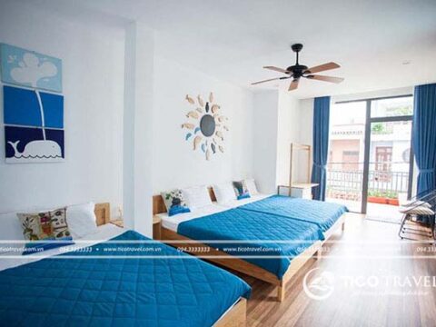 Ảnh đại diện Nẫu House Homestay