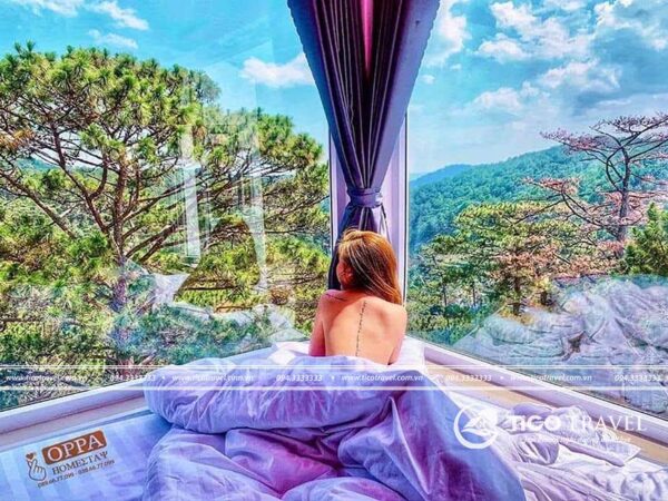 Ảnh chụp villa Review Oppa Homestay Đà Lạt - Ngôi nhà kính xinh xắn giữa phố núi số 0