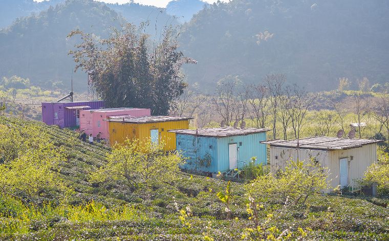 Mộc Châu Arena Village - Homestay giữa thung lũng ngàn hoa
