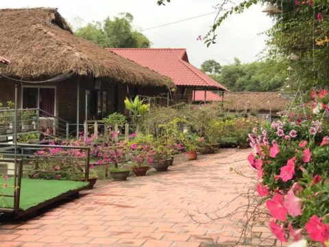 Ảnh đại diện Quảng Tây Resort