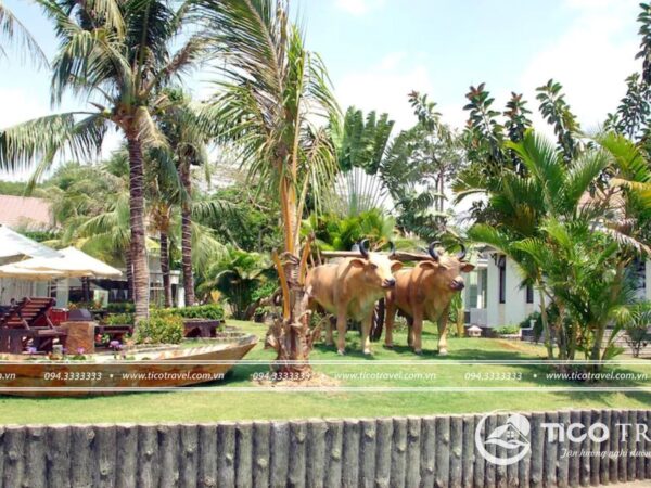 Ảnh chụp villa Sao Mai Resort Phú Mỹ số 8