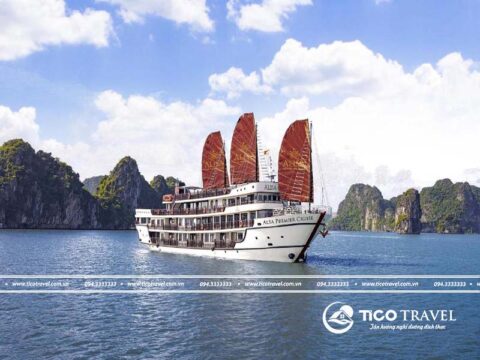 Ảnh đại diện Alisa Premier Cruise