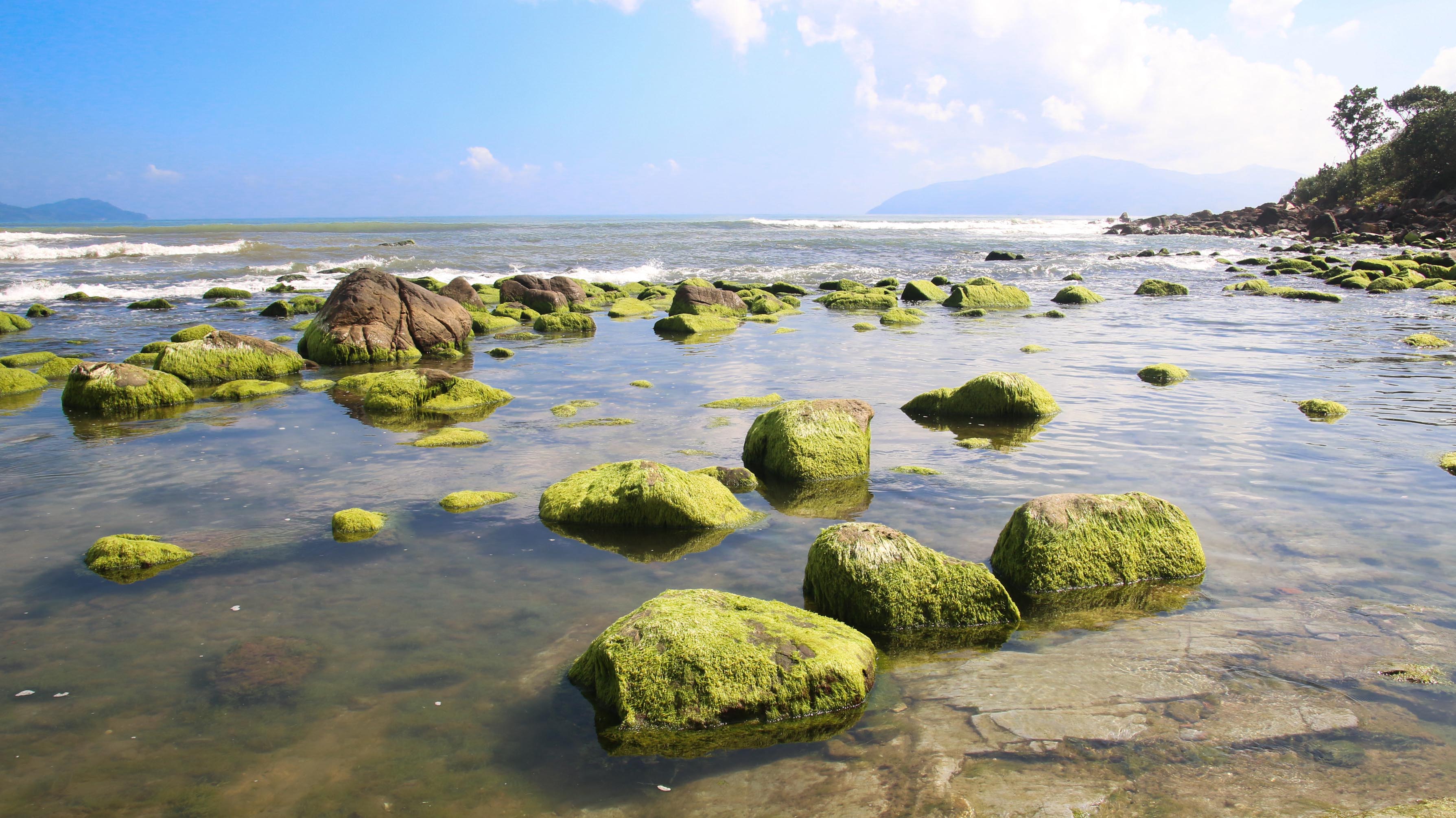 Top 11 bãi biển Đà Nẵng đẹp say đắm lòng người