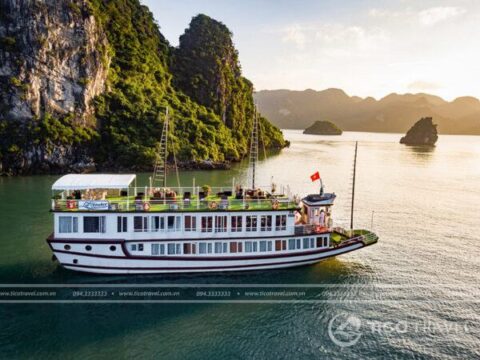 Ảnh đại diện Lavender Elegance Cruise