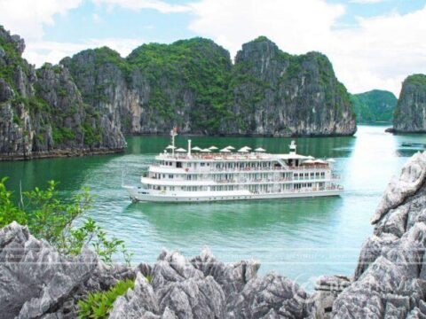 Ảnh đại diện Paradise Peak Cruise Ha long Bay