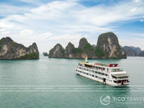 Ảnh đại diện Royal Wings Cruise Halong Bay