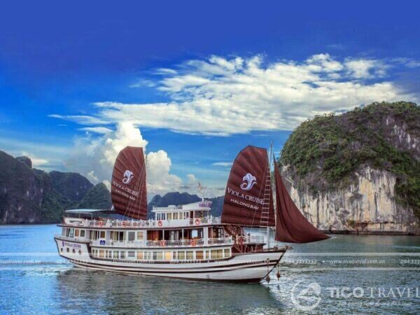 Ảnh chụp villa Viola Cruise Halong số 2