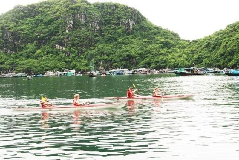 du thuyền Viola Cruise