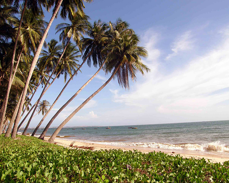 Phát sốt trước 15 bãi biển Mũi Né đẹp quên lối về