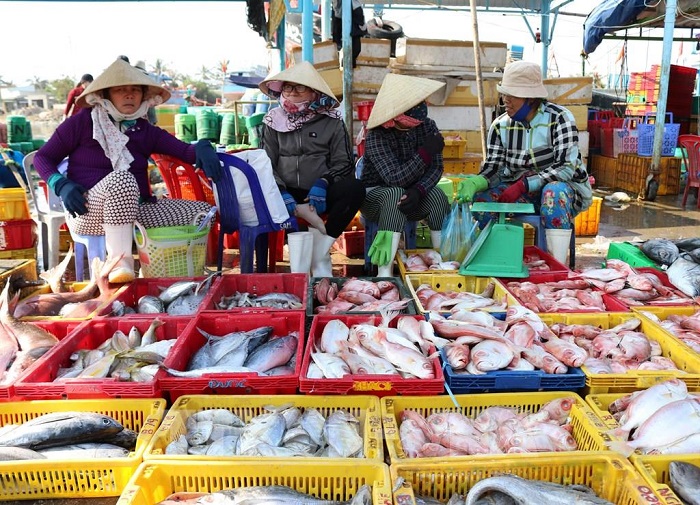 Khám phá 11 chợ hải sản Đà Nẵng giá rẻ, chất lượng - Ảnh đại diện