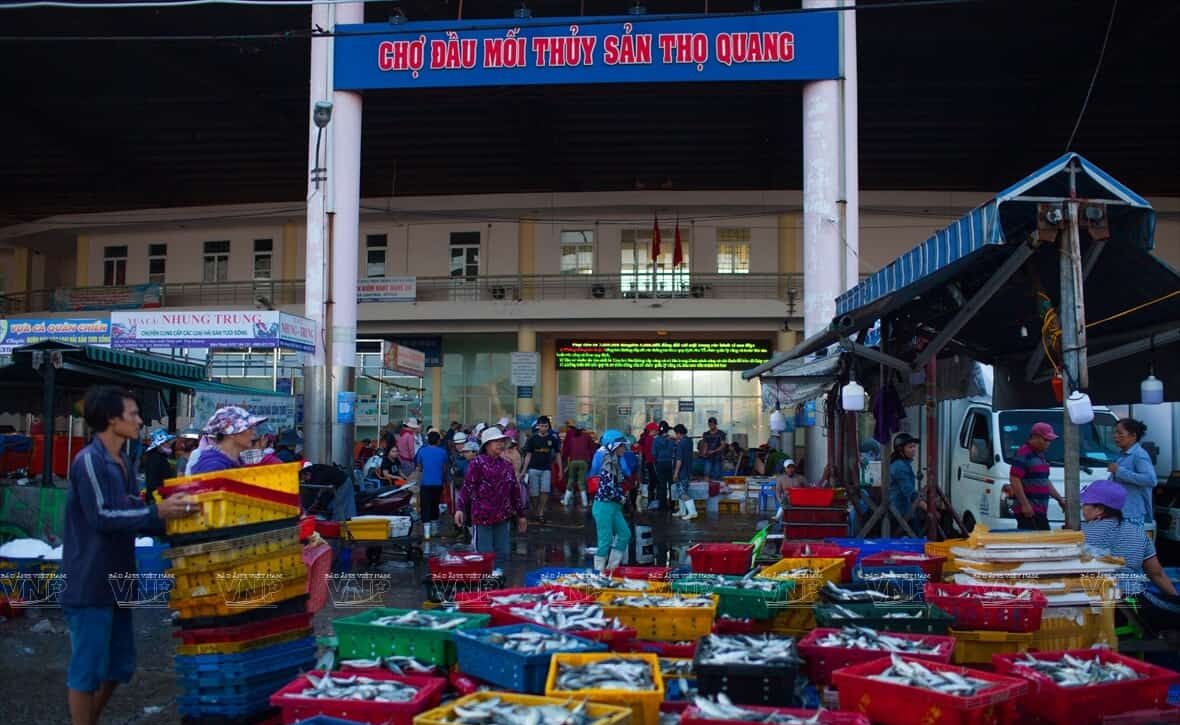 Khám phá 11 chợ hải sản Đà Nẵng giá rẻ, chất lượng
