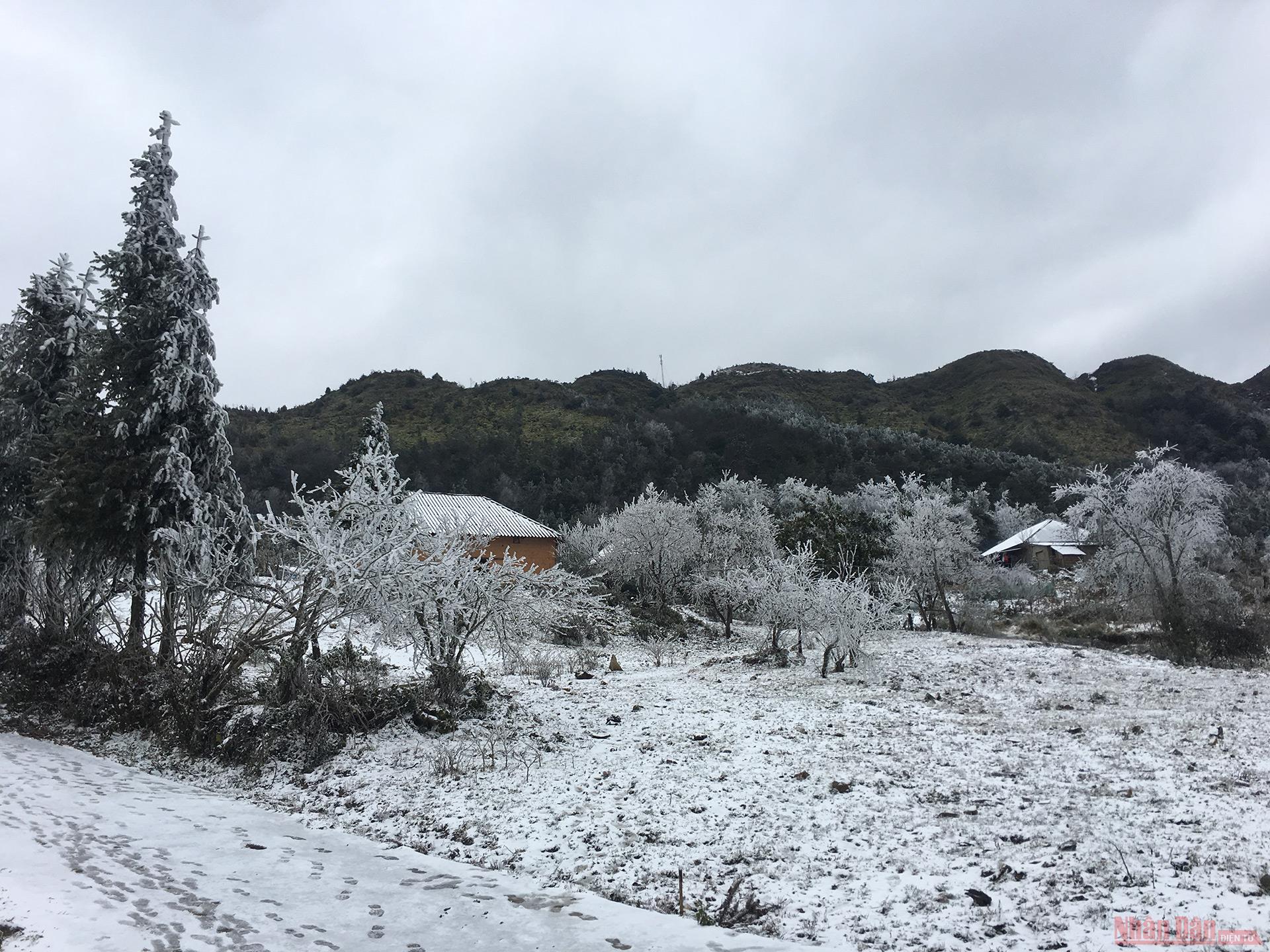 Kinh nghiệm du lịch Sapa tuyết rơi chi tiết mới nhất 2022