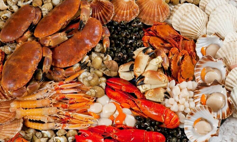 Top 15 địa chỉ mua hải sản Quảng Ninh uy tín - Ảnh đại diện