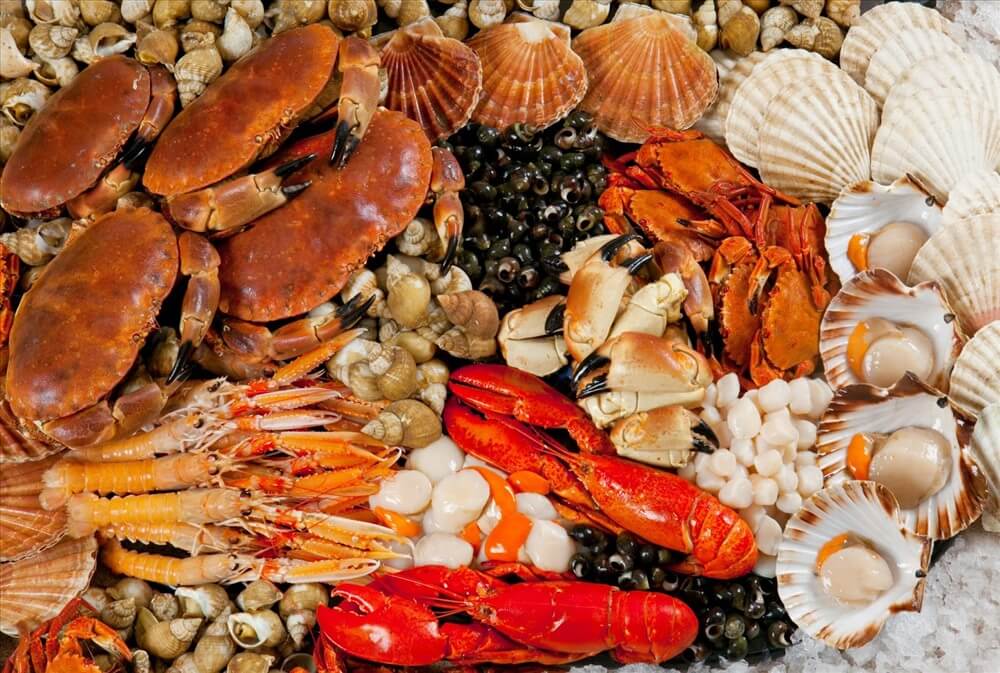 Top 15 địa chỉ mua hải sản Quảng Ninh uy tín