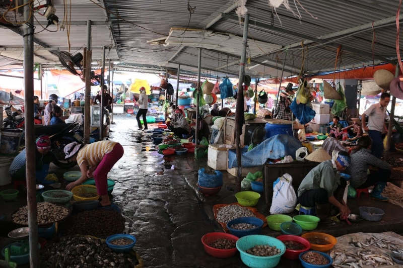 Top 15 địa chỉ mua hải sản Quảng Ninh uy tín