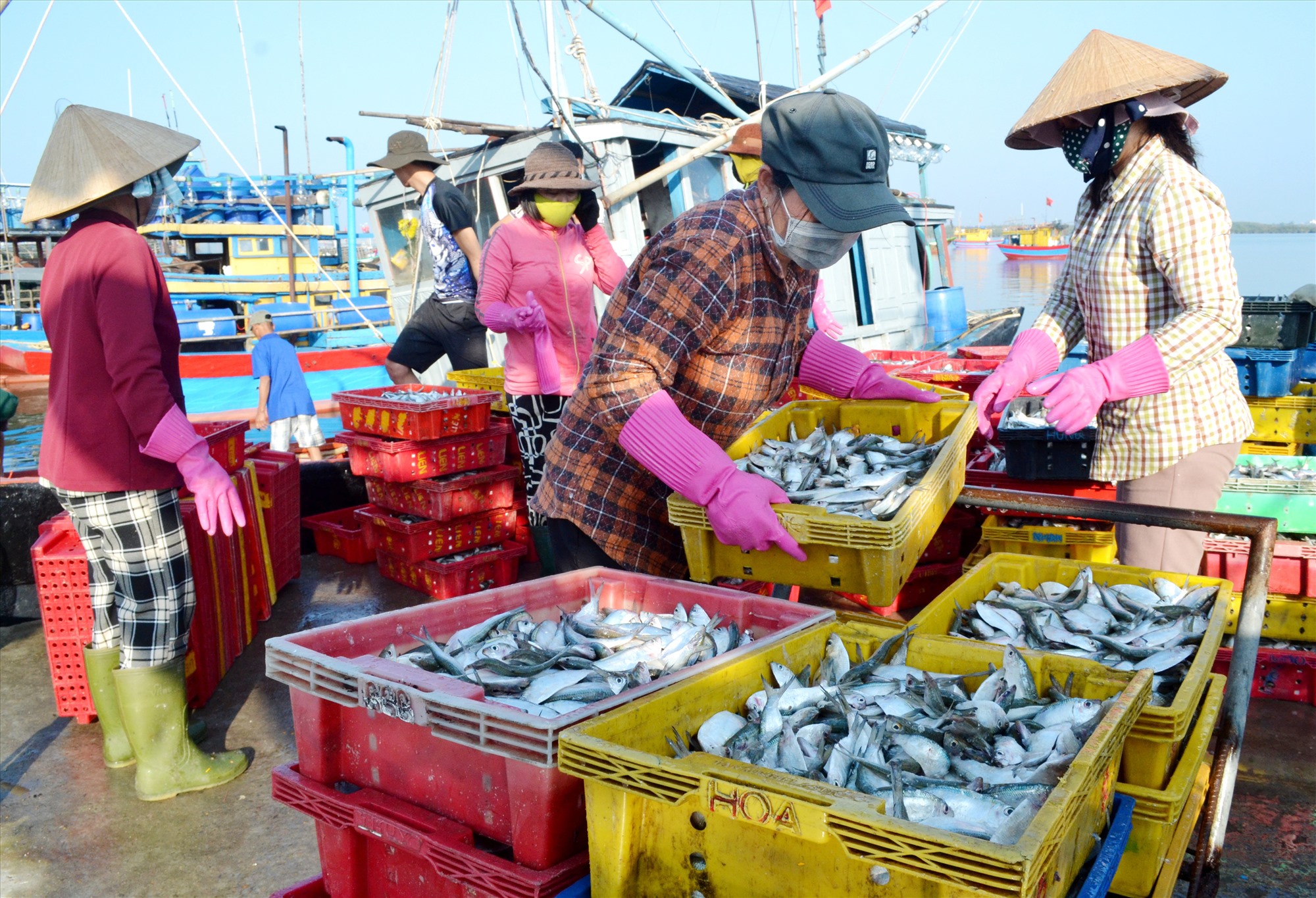 Chợ Bến Đình Vũng Tàu - Địa chỉ bán hải sản tươi ngon giá siêu mềm