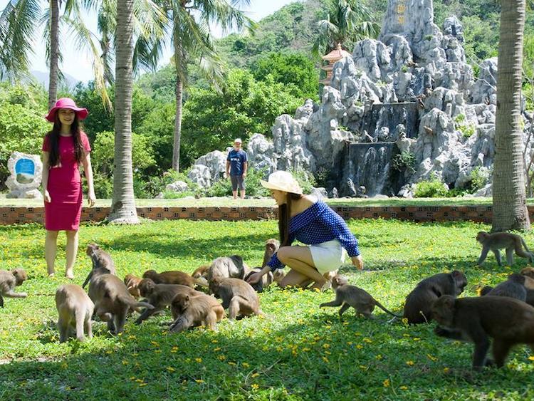 Review Đảo Khỉ Nha Trang – Khu Du Lịch Hòn Lao - Ảnh đại diện