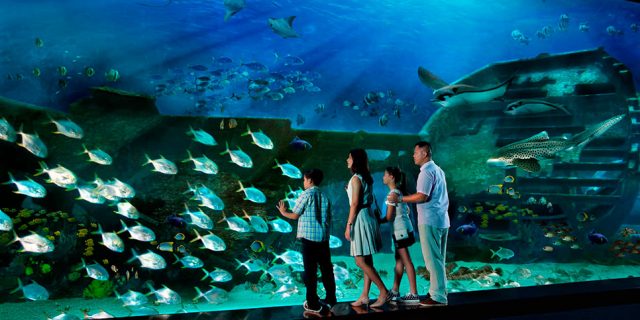 Viện Hải dương học Nha Trang: trải nghiệm thế giới đại dương huyền bí
