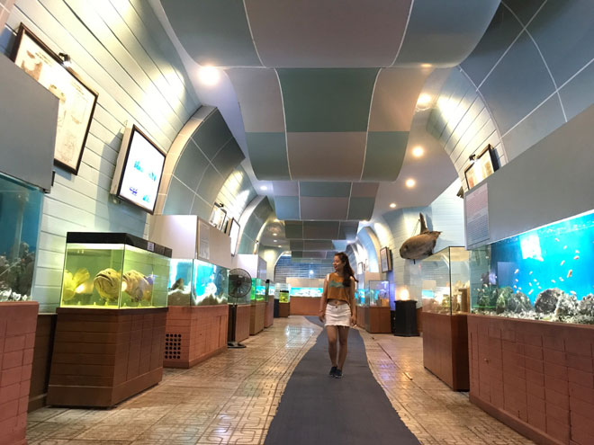 Viện Hải dương học Nha Trang: trải nghiệm thế giới đại dương huyền bí