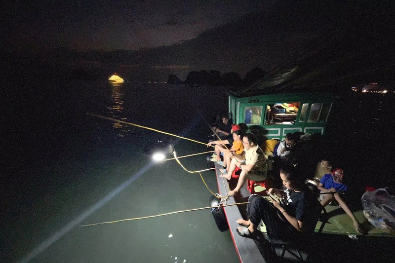 Review hoạt động câu mực đêm Phú Quốc hấp dẫn và thú vị