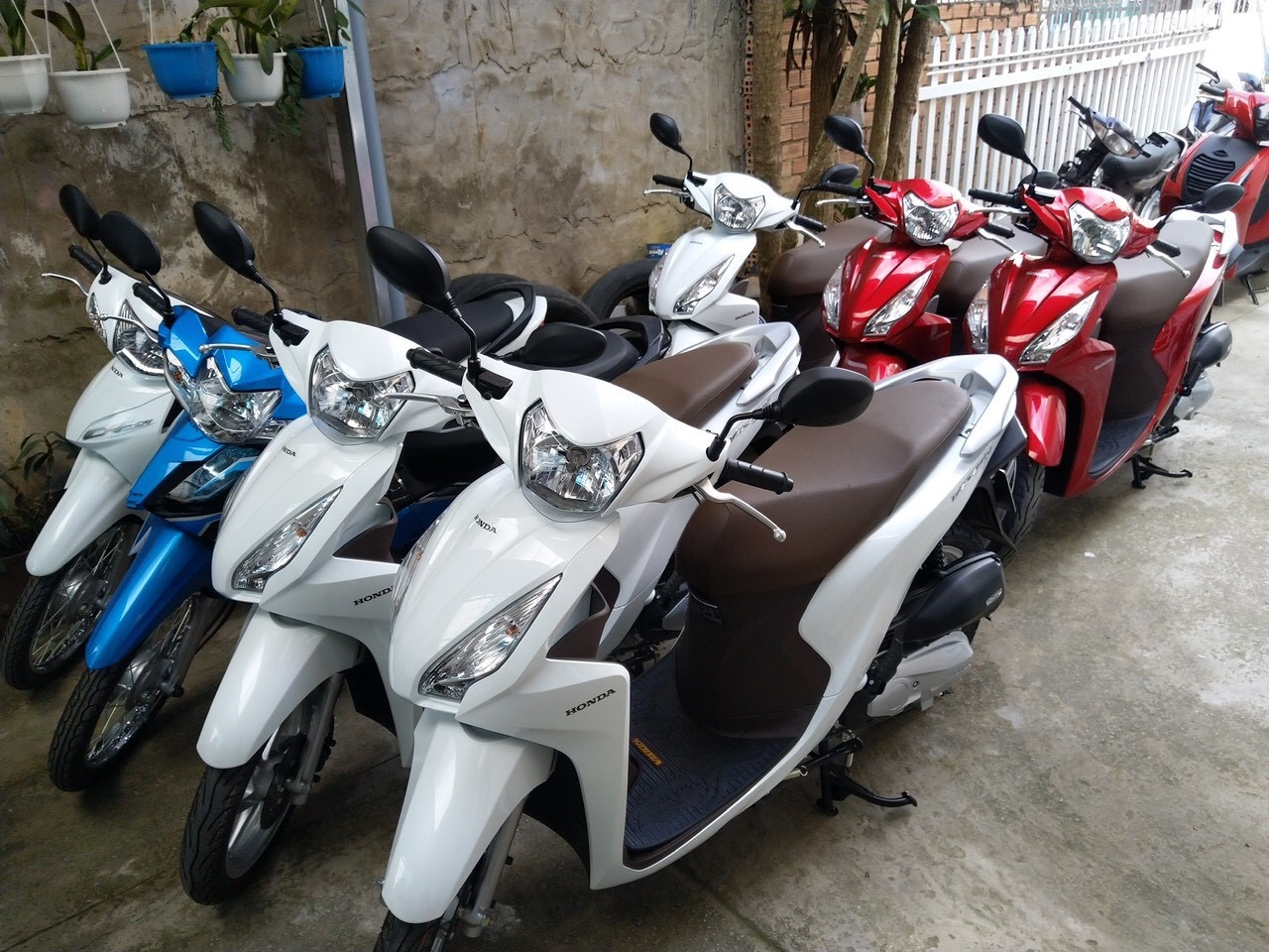 thuê xe máy Hà Nội