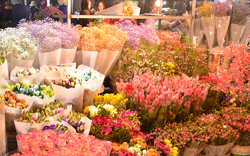 Kinh nghiệm khám phá chợ hoa Hồ Thị Kỷ – Thiên đường hoa và ẩm thực